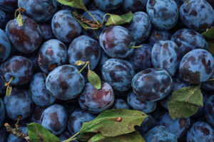 Calorie Prune et pruneau