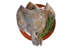 Calorie Turbot